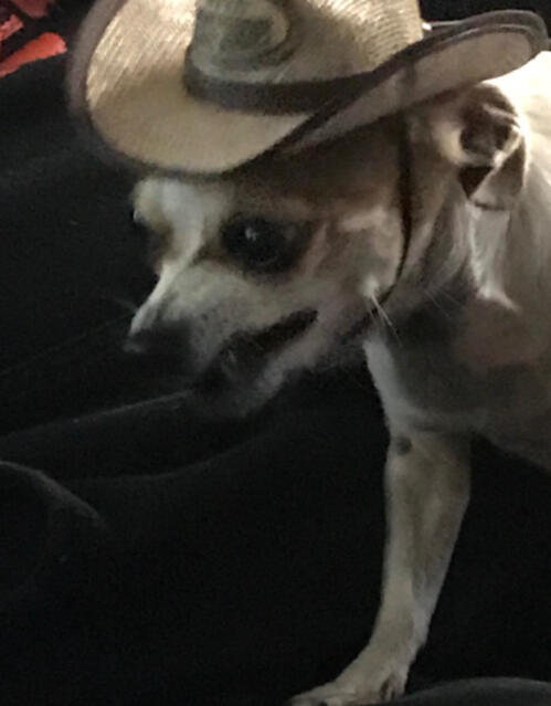 ☆ delilah ☆ ☆ delilah ☆